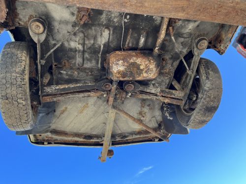 C:\fakepath\IMG 7582