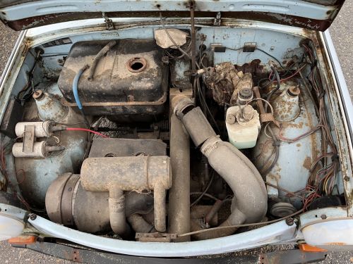 C:\fakepath\IMG 7856